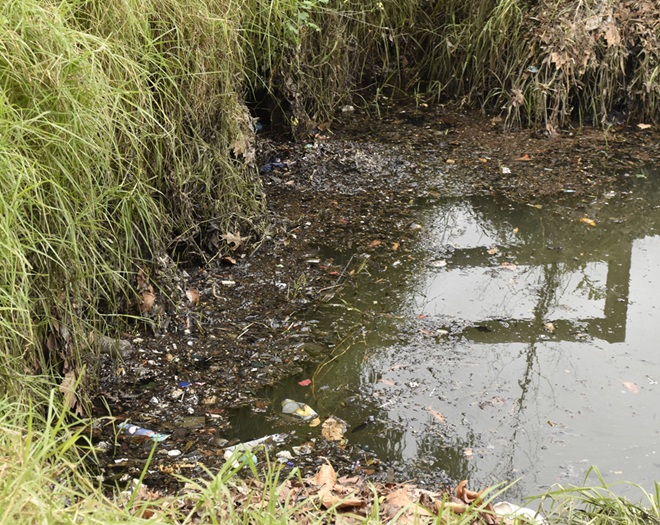 Litter and polluted water in Stony Creek